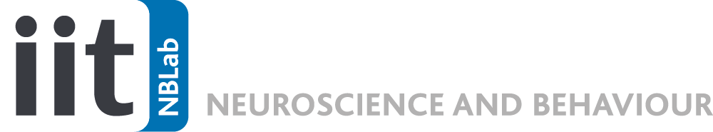 IIT